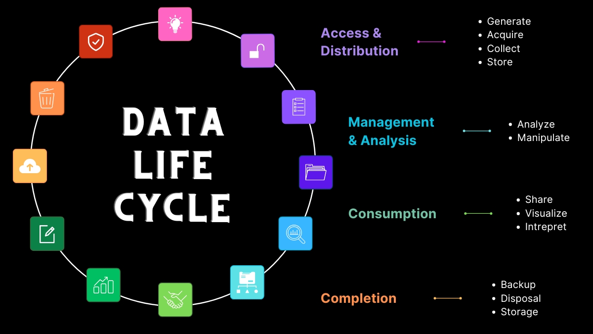 Data Lifecycle Graphic